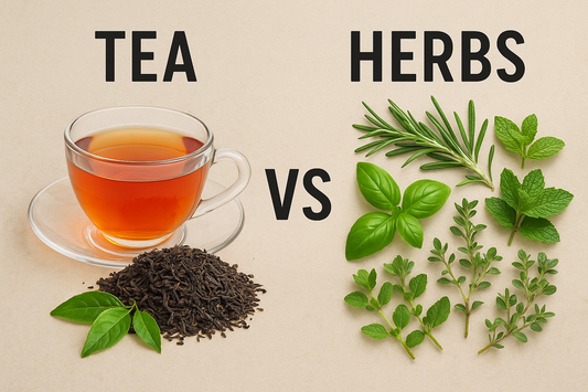 Tea vs Herbal Infusions: Understanding the Key Differences