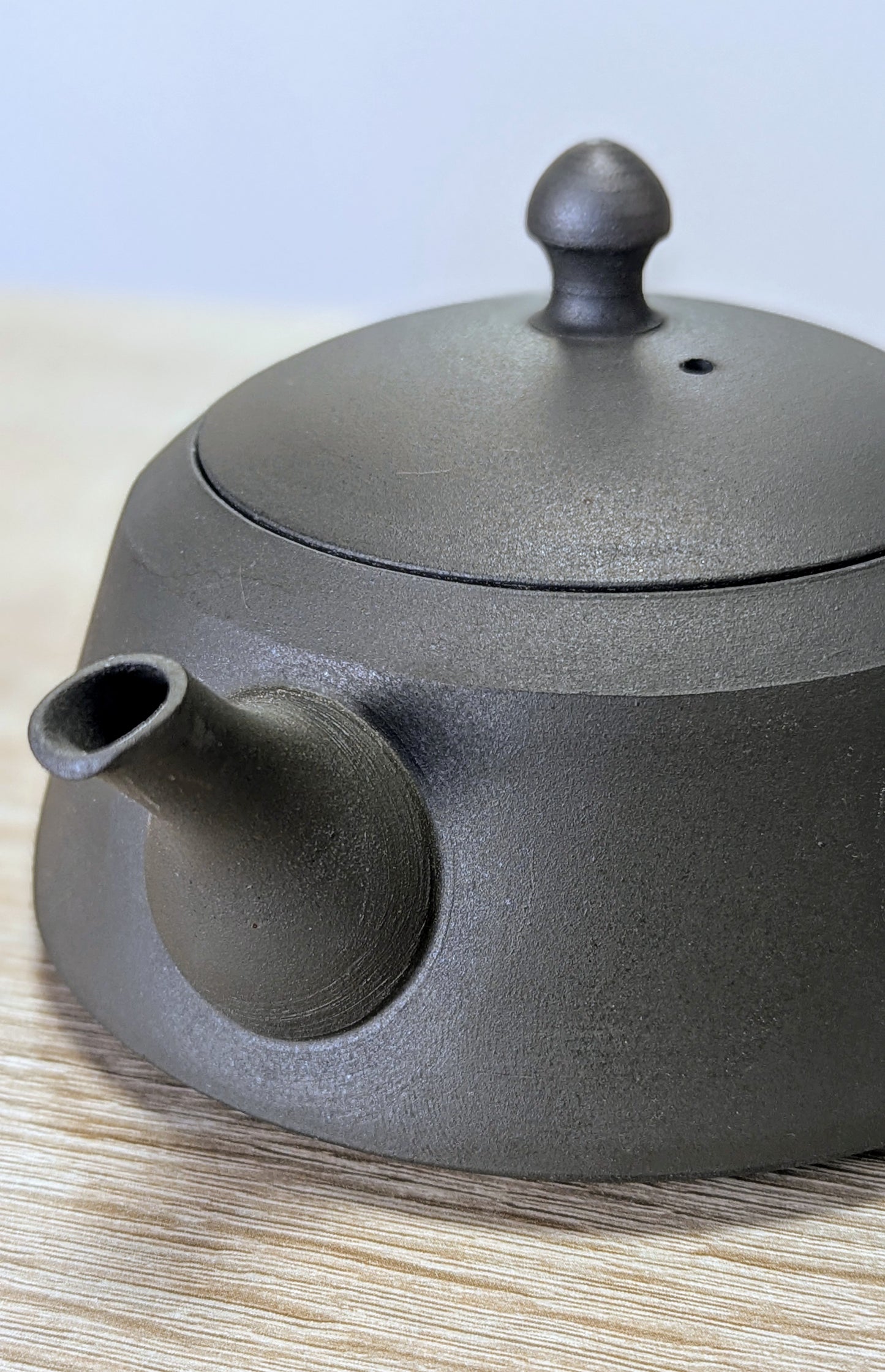 Tokoname Teapot by Sadawa Tomohiro 6 - Tea Topia
