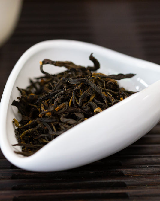 Wild Arbor Black Tea from Jingmai Mountain - Tea Topia