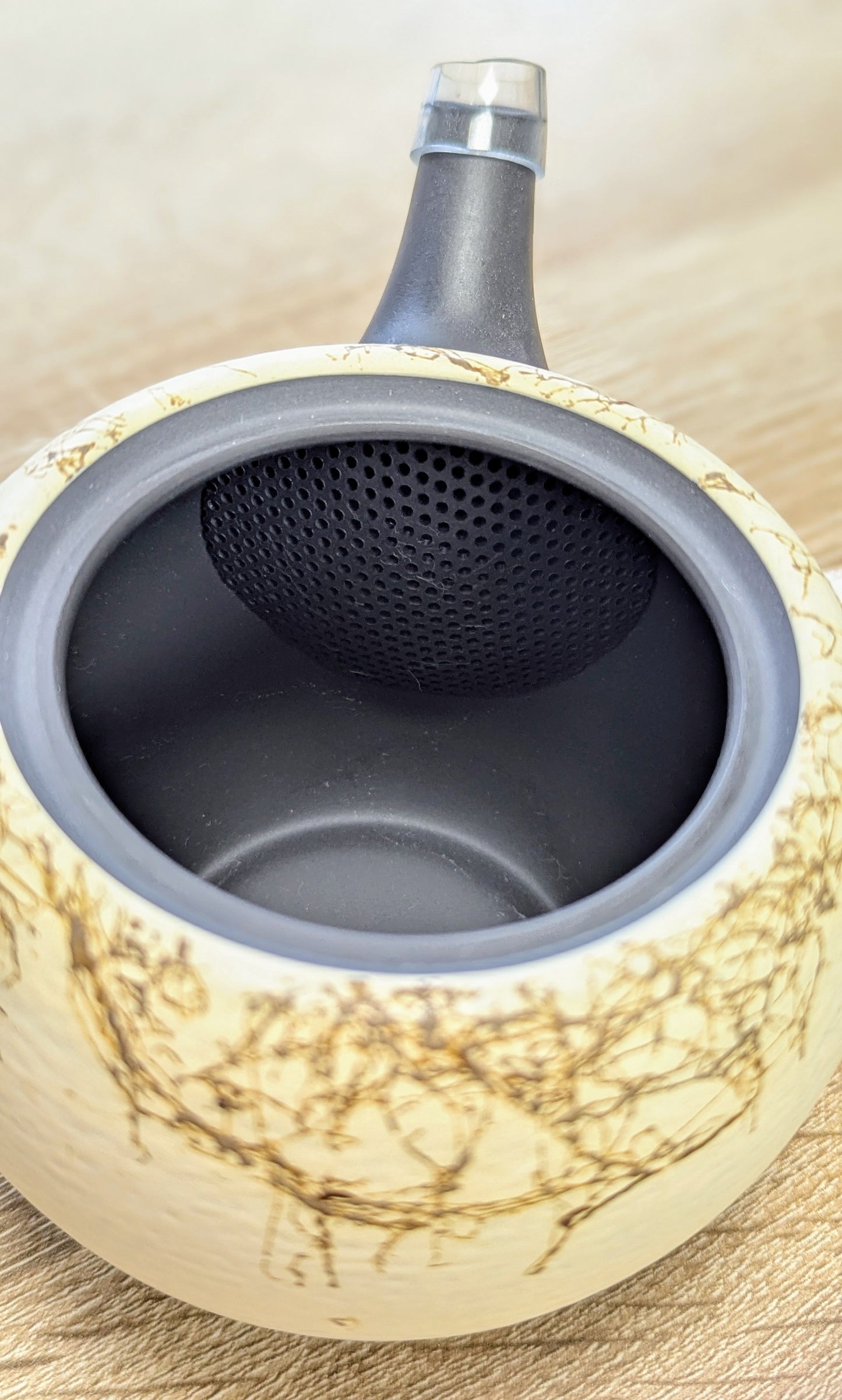 Tokoname Kyusu Teapot - Tea Topia