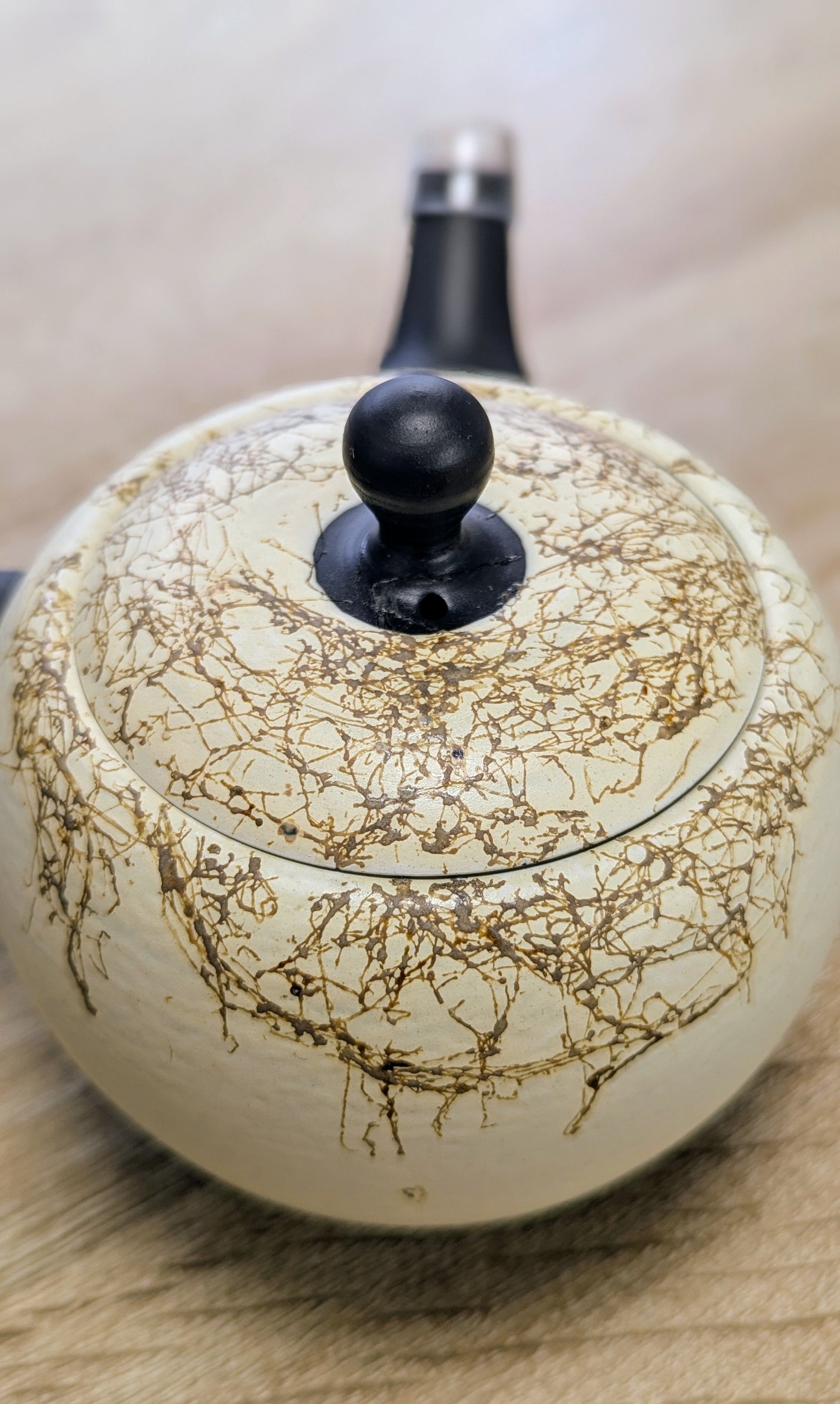 Tokoname Kyusu Teapot - Tea Topia