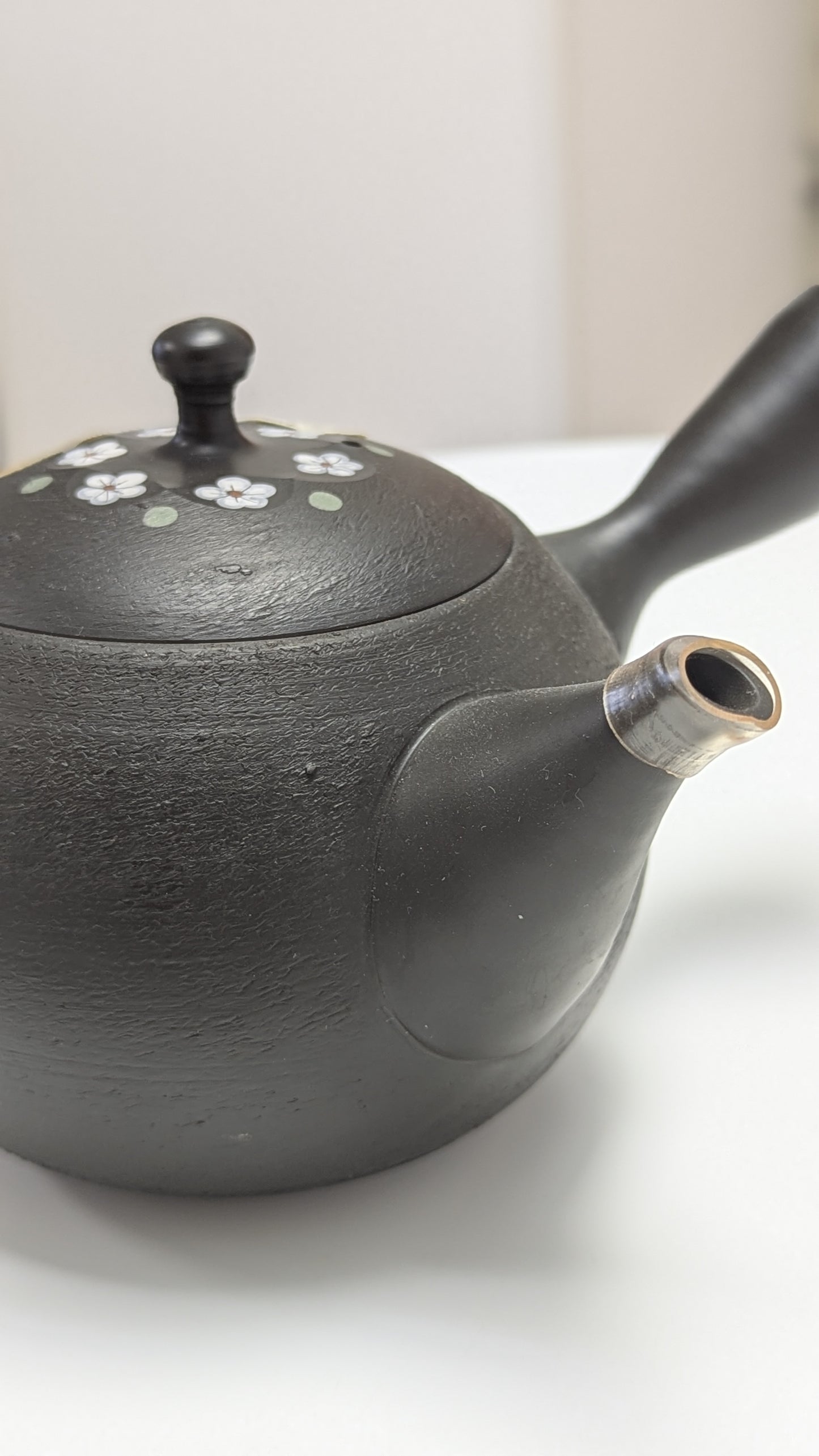 Tokoname Kyusu Teapot model: fl500 - Tea Topia