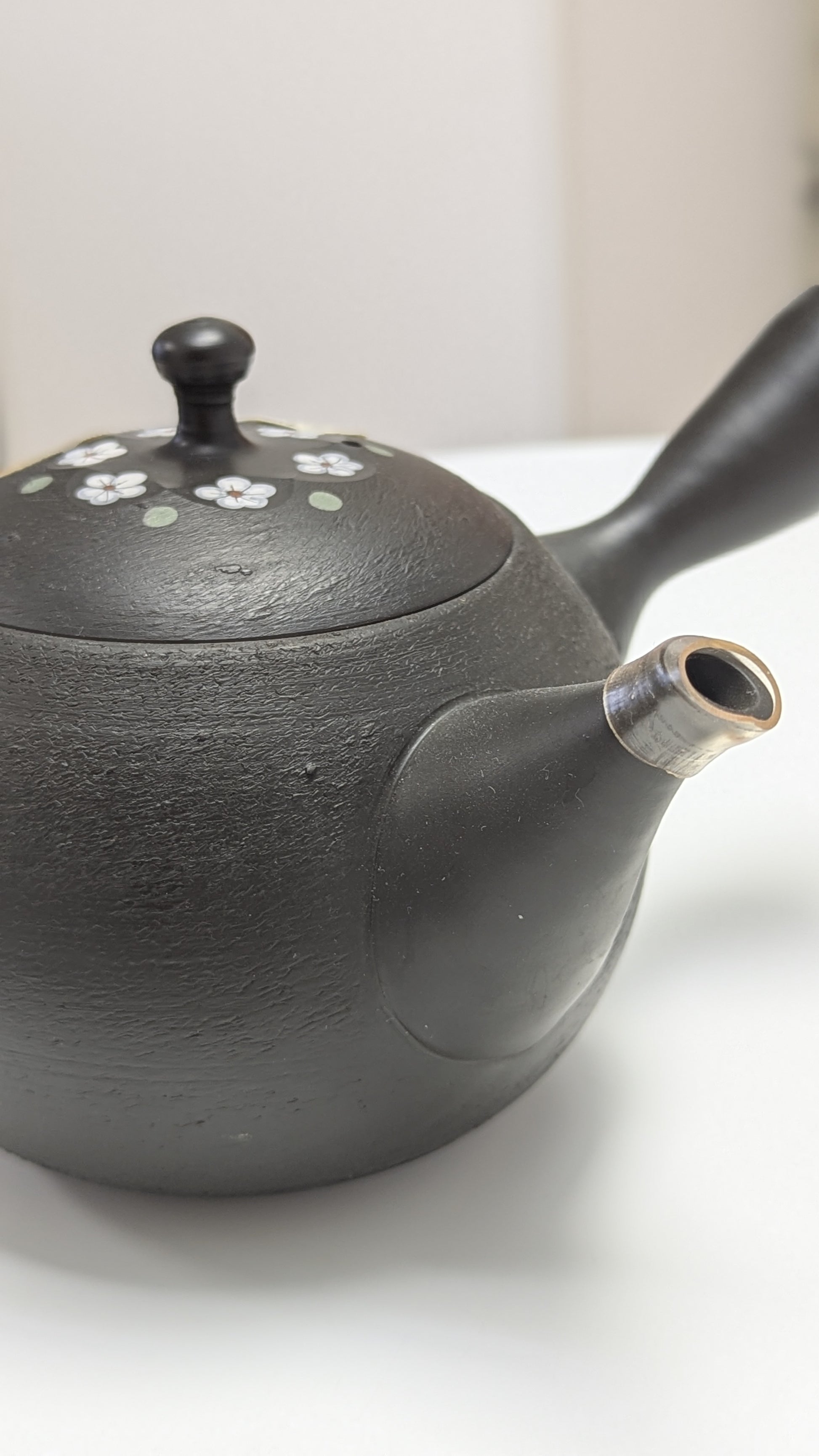 Tokoname Kyusu Teapot model: fl500 - Tea Topia