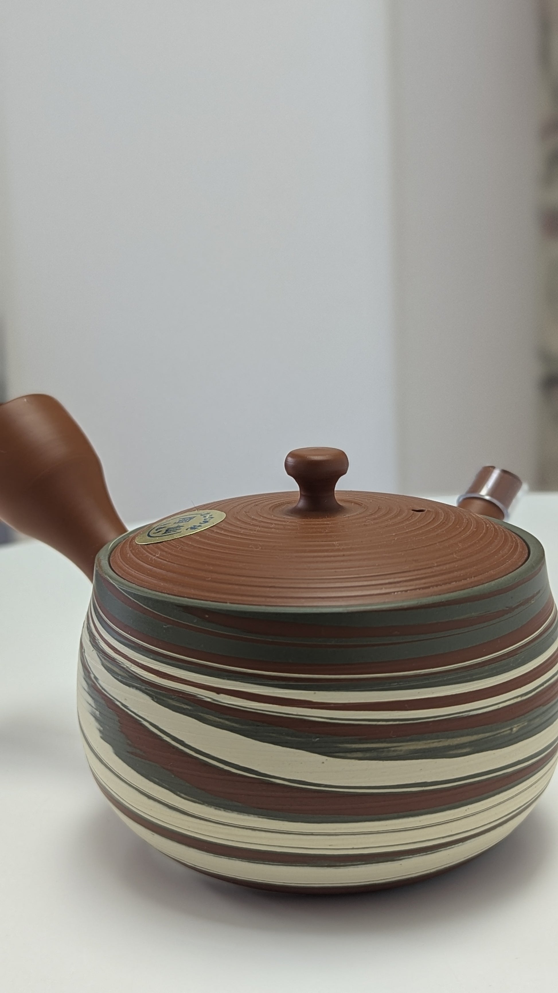 Tokoname Kyusu Teapot - Tea Topia