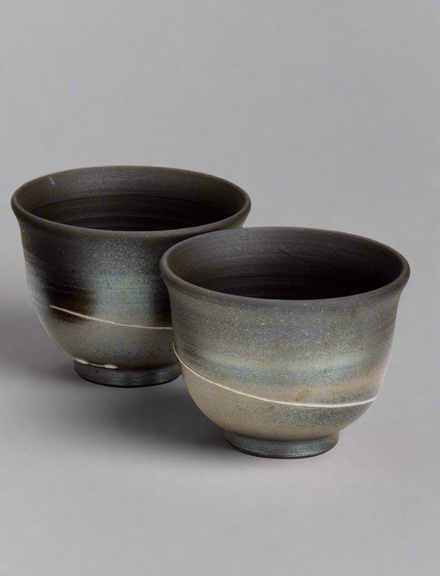 Tokoname teacup by Sadawa Tomohiro - Tea Topia