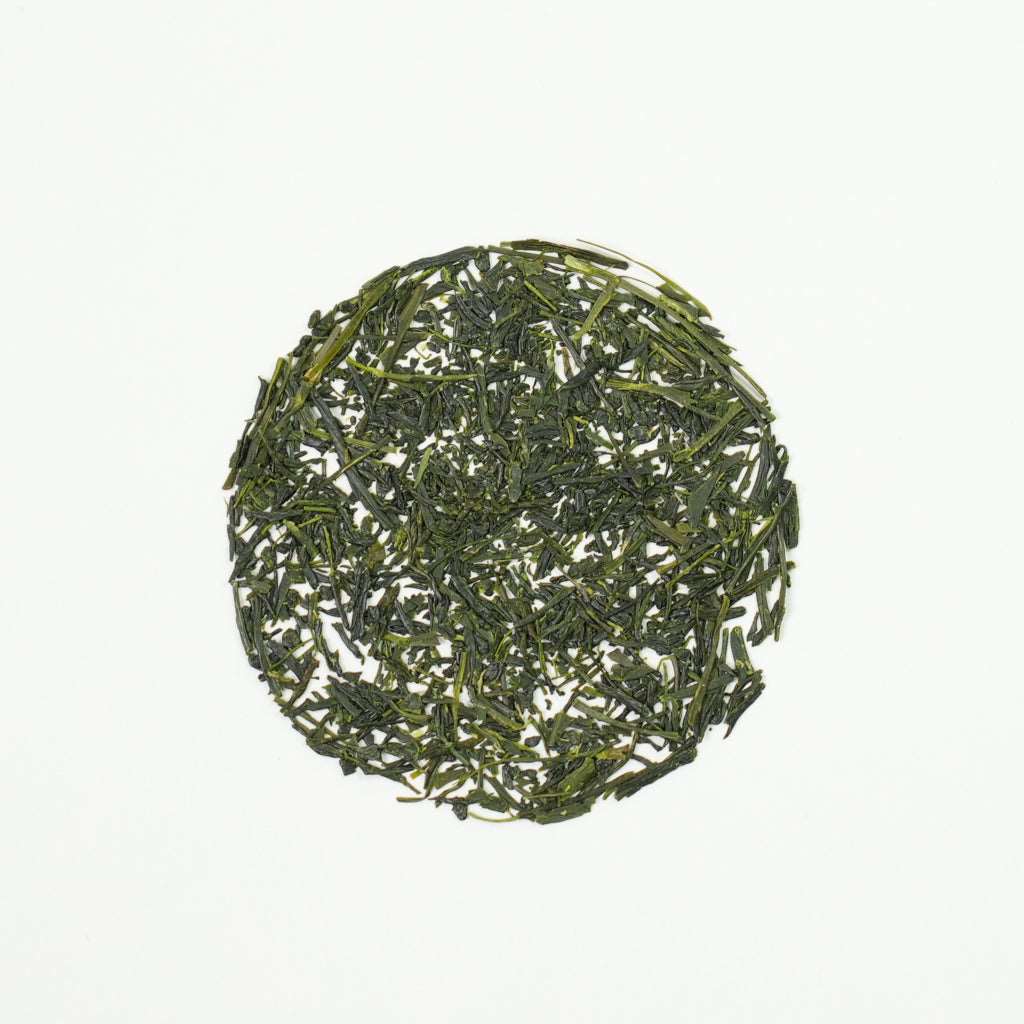 Sencha Izagawa - Award Winner - Tea Topia