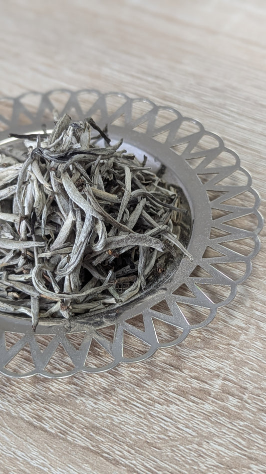 Wild silver needle Shan tuyet white tea