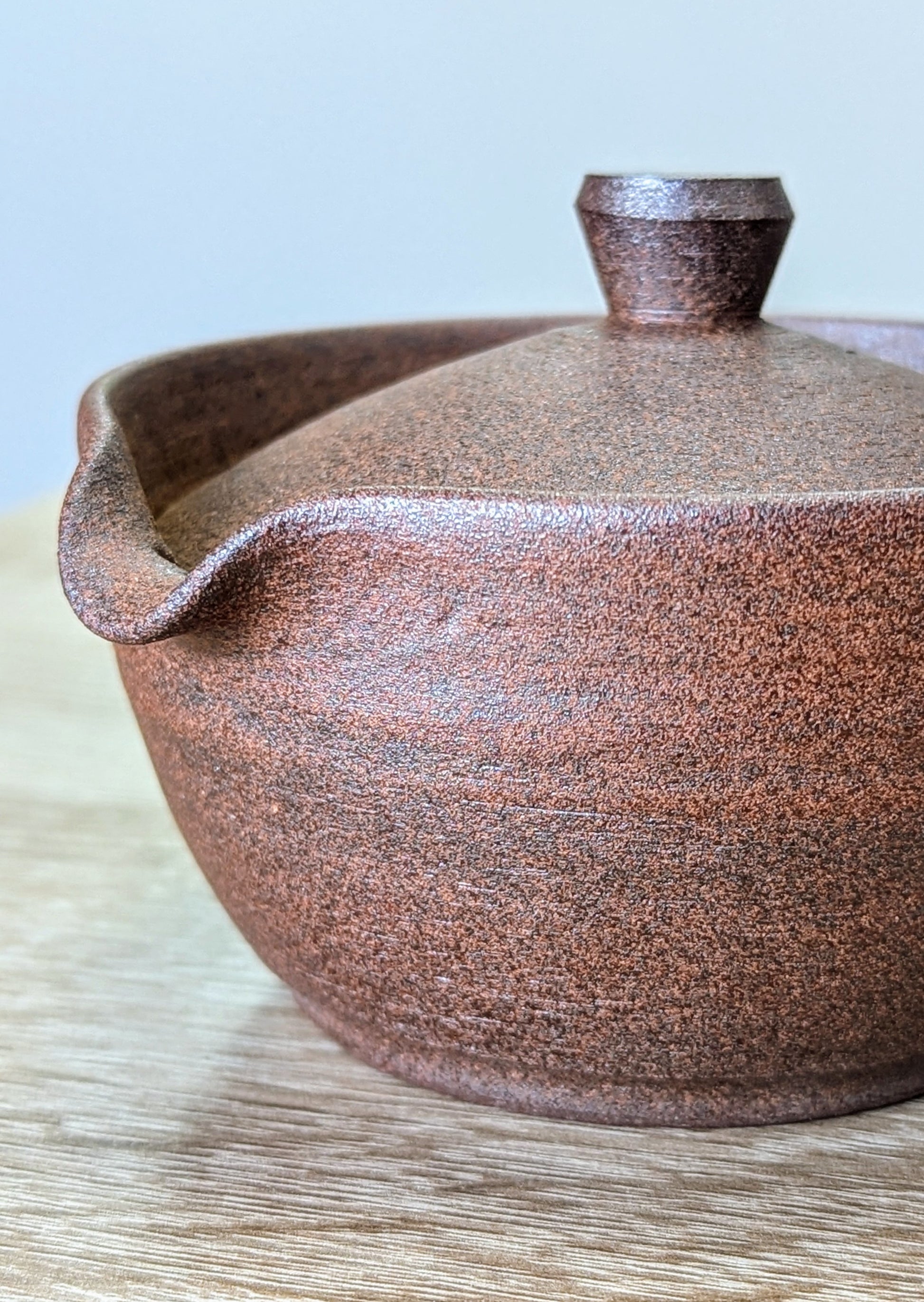 Tokoname Shiboridashi 1 - Tea Topia
