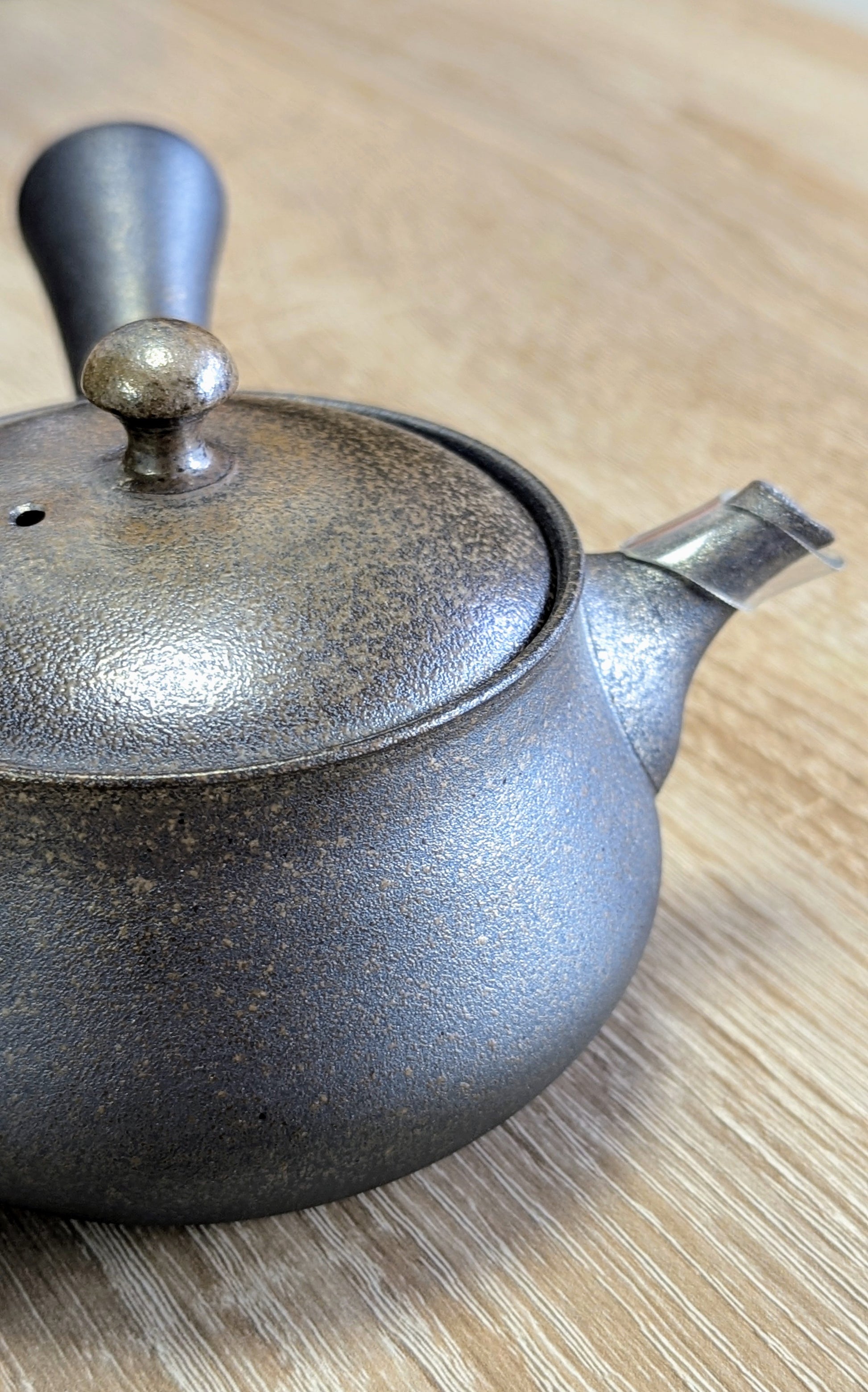 Tokoname Teapot by Sadawa Tomohiro 5 - Tea Topia