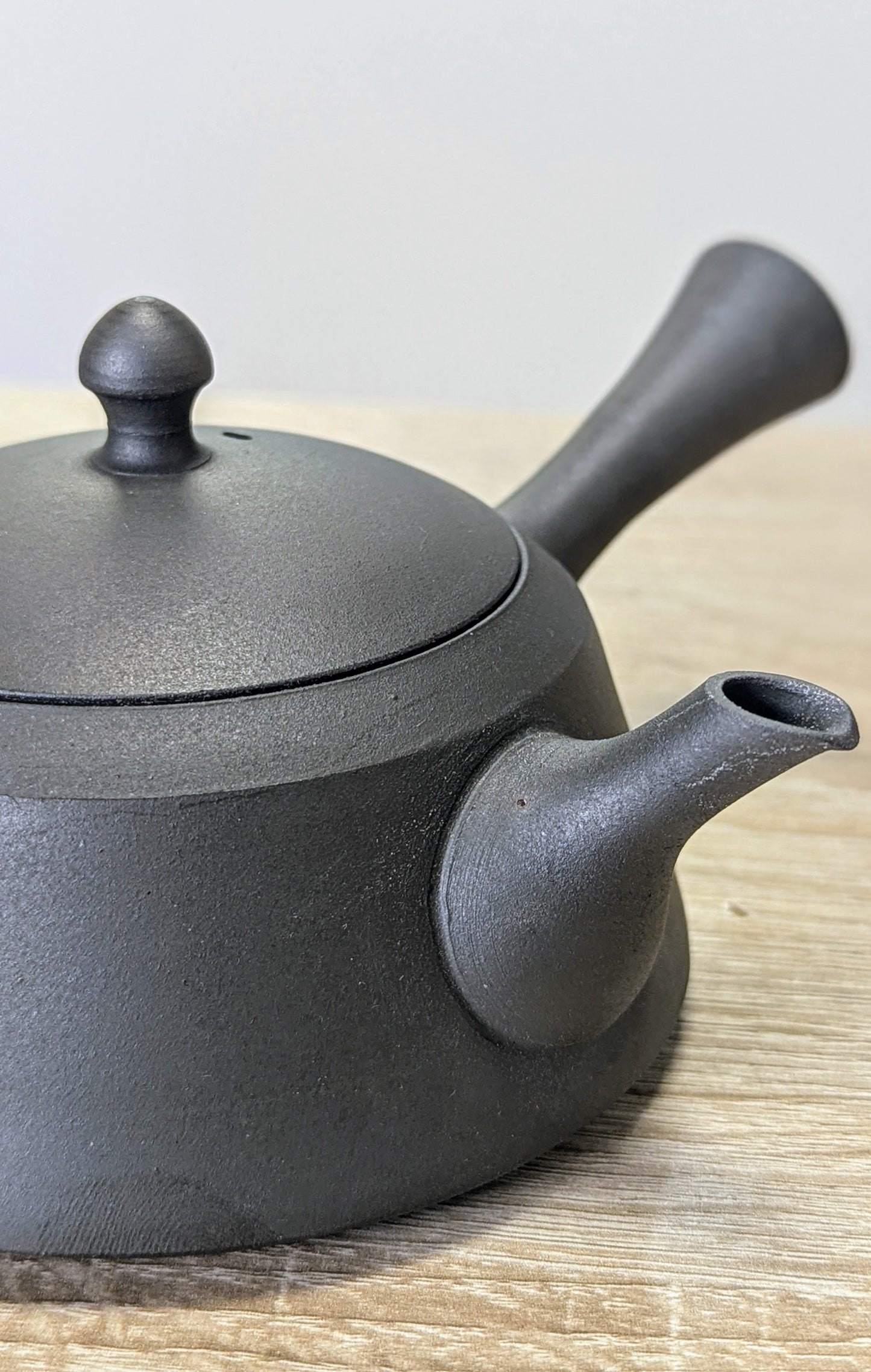 Tokoname Teapot by Sadawa Tomohiro 6 - Tea Topia