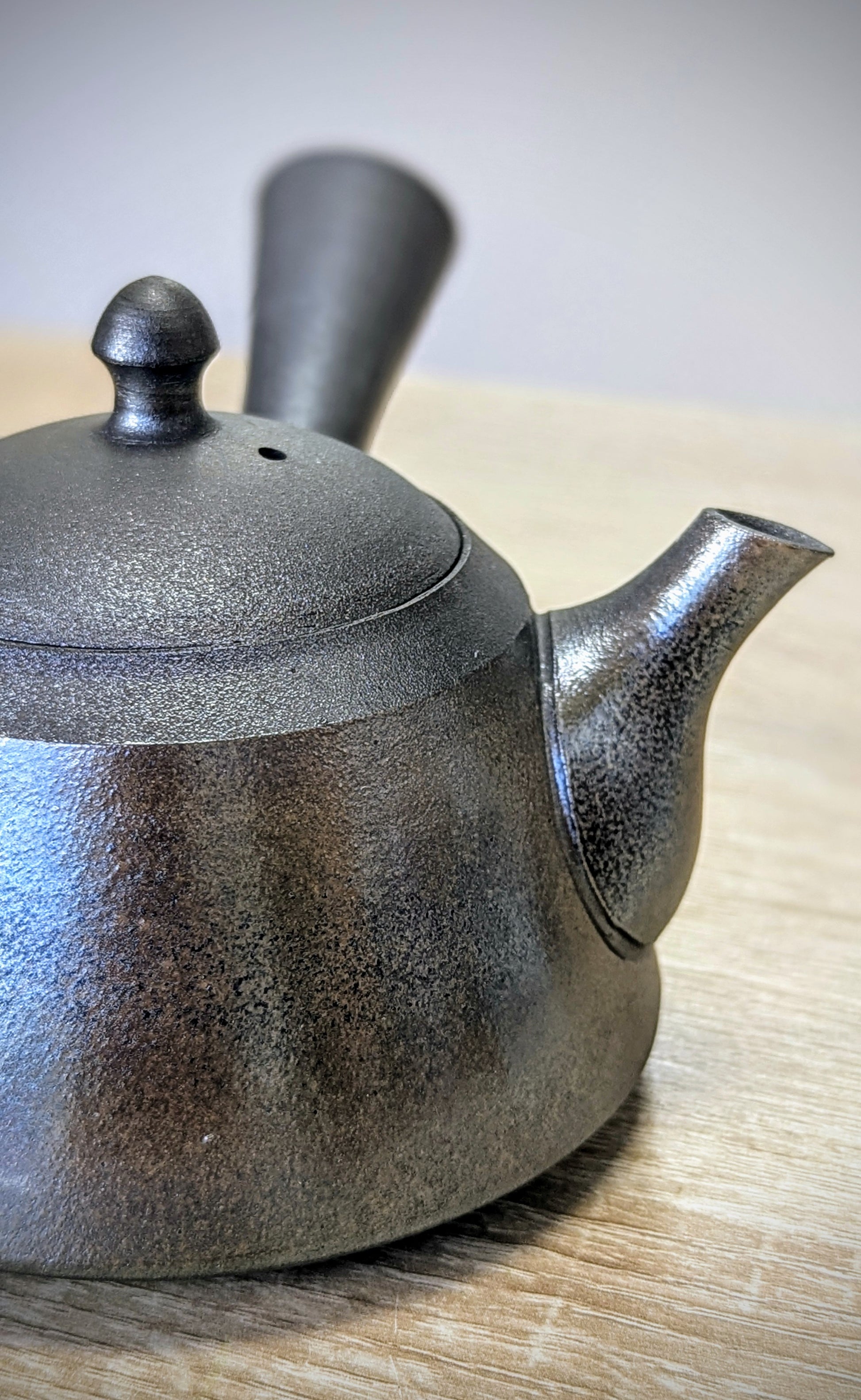 Tokoname Teapot by Sadawa Tomohiro 2 - Tea Topia