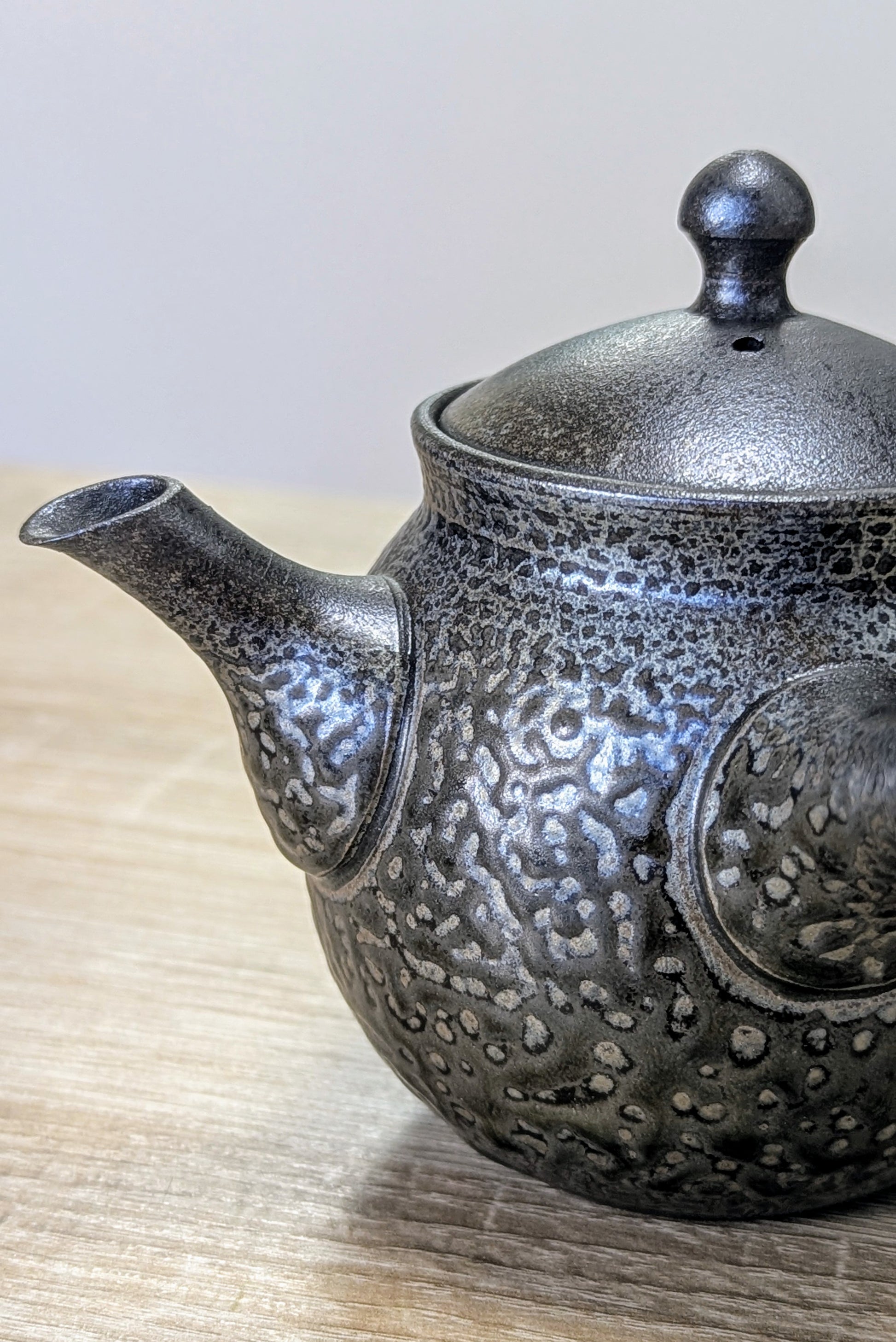 Tokoname Teapot by Sadawa Tomohiro 3 - Tea Topia