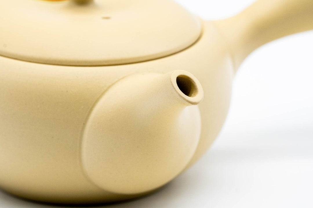 Takasuke hiramaru kyusu teapot
