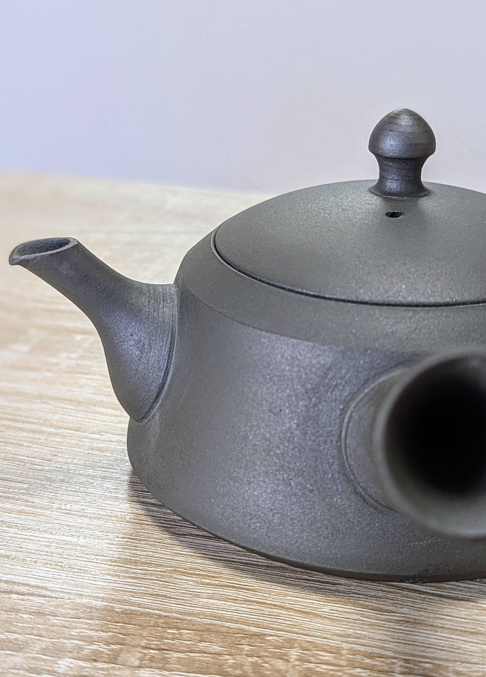 Tokoname Teapot by Sadawa Tomohiro 6 - Tea Topia