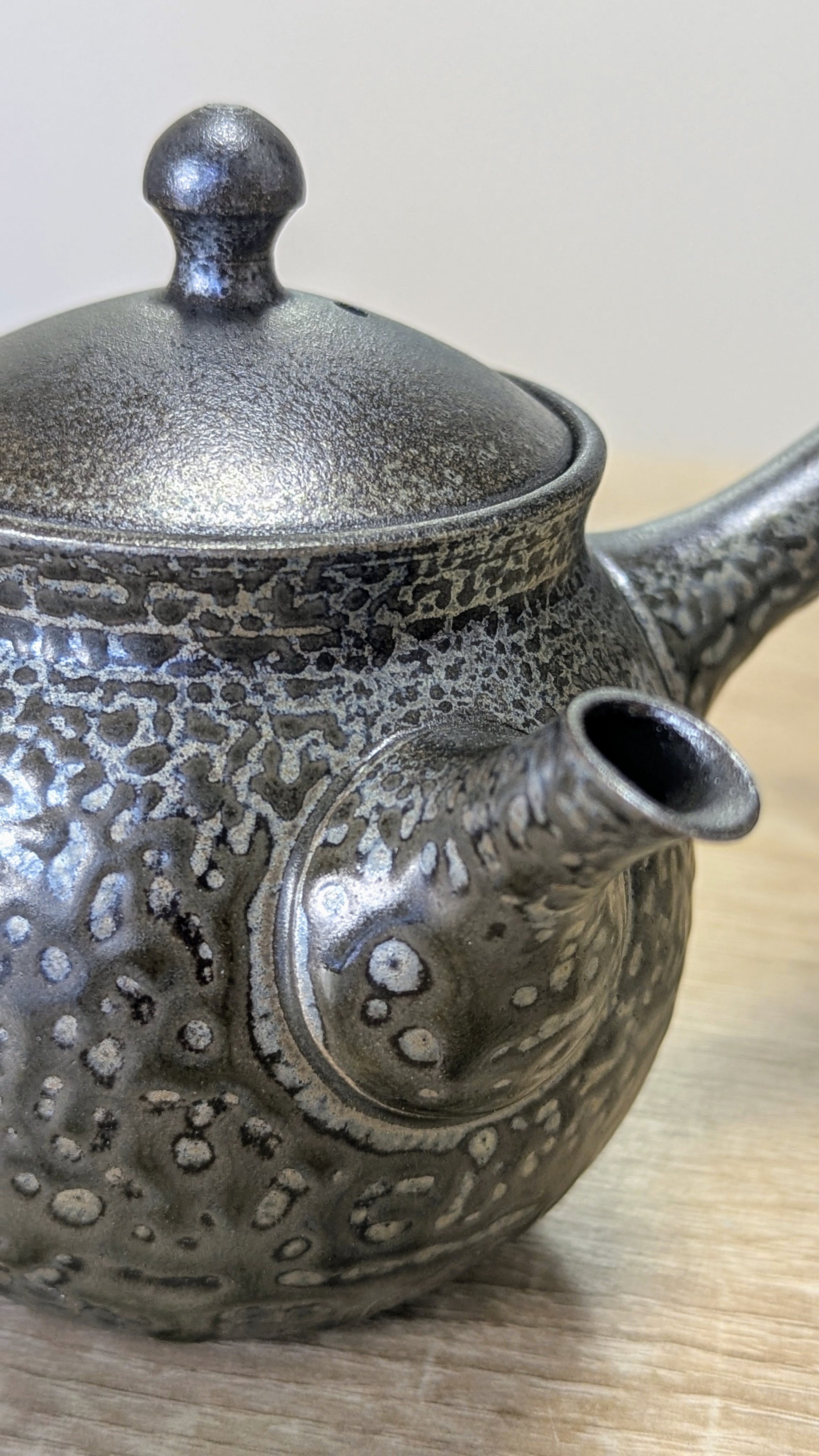 Tokoname Teapot by Sadawa Tomohiro 3 - Tea Topia