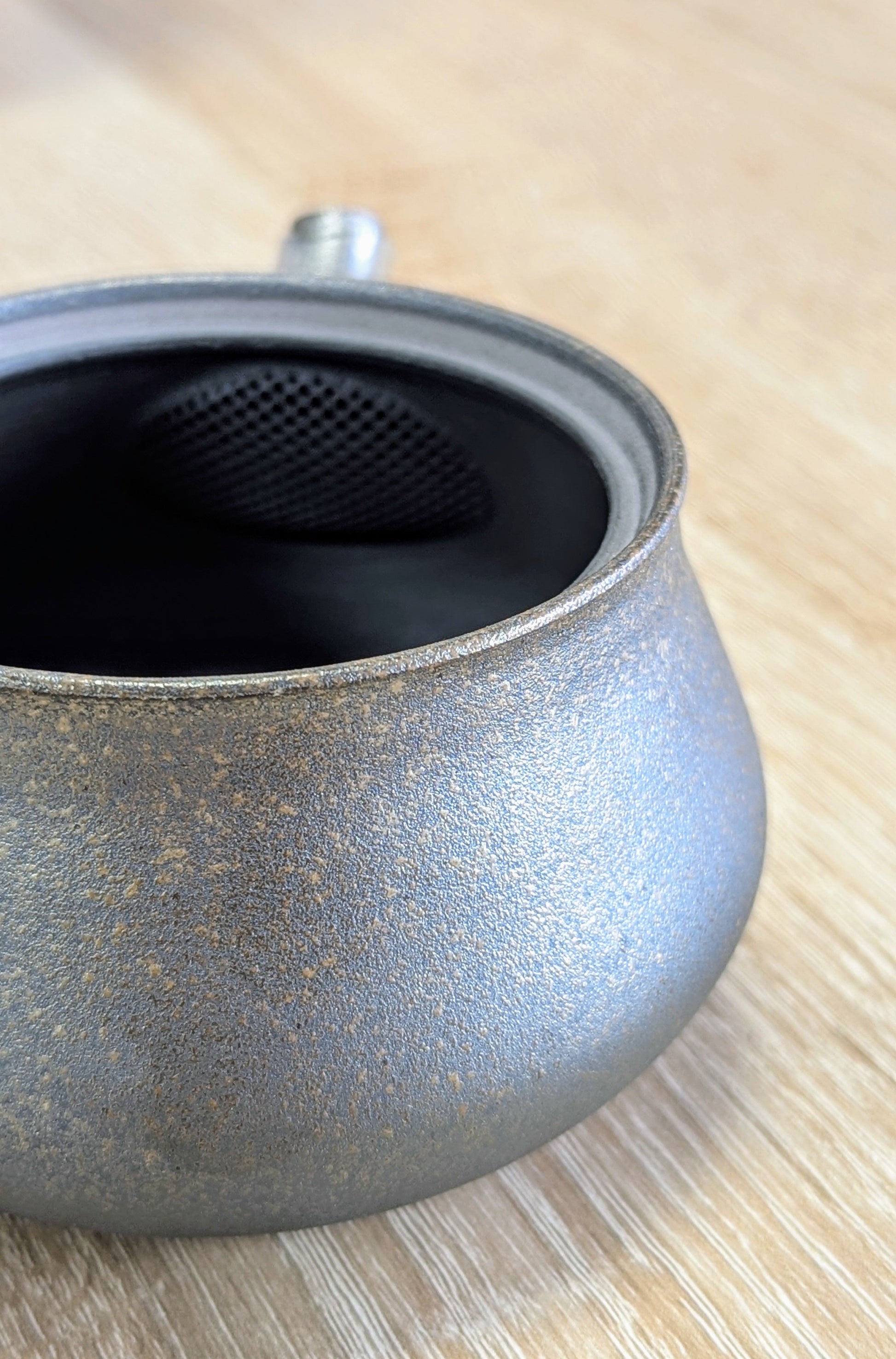 Tokoname Teapot by Sadawa Tomohiro 5 - Tea Topia