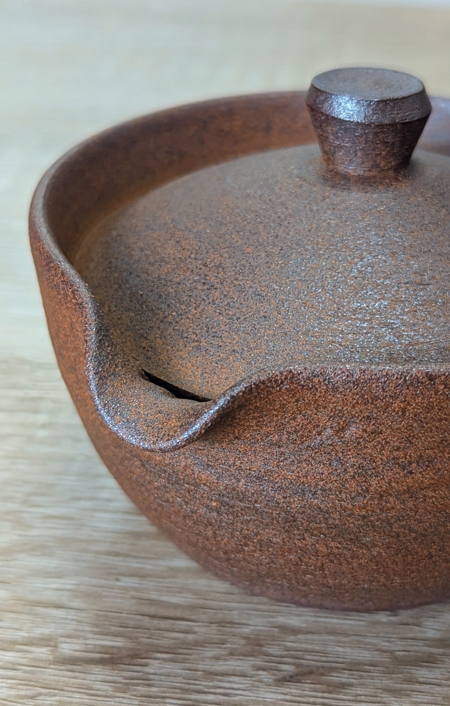 Tokoname Shiboridashi 1 - Tea Topia