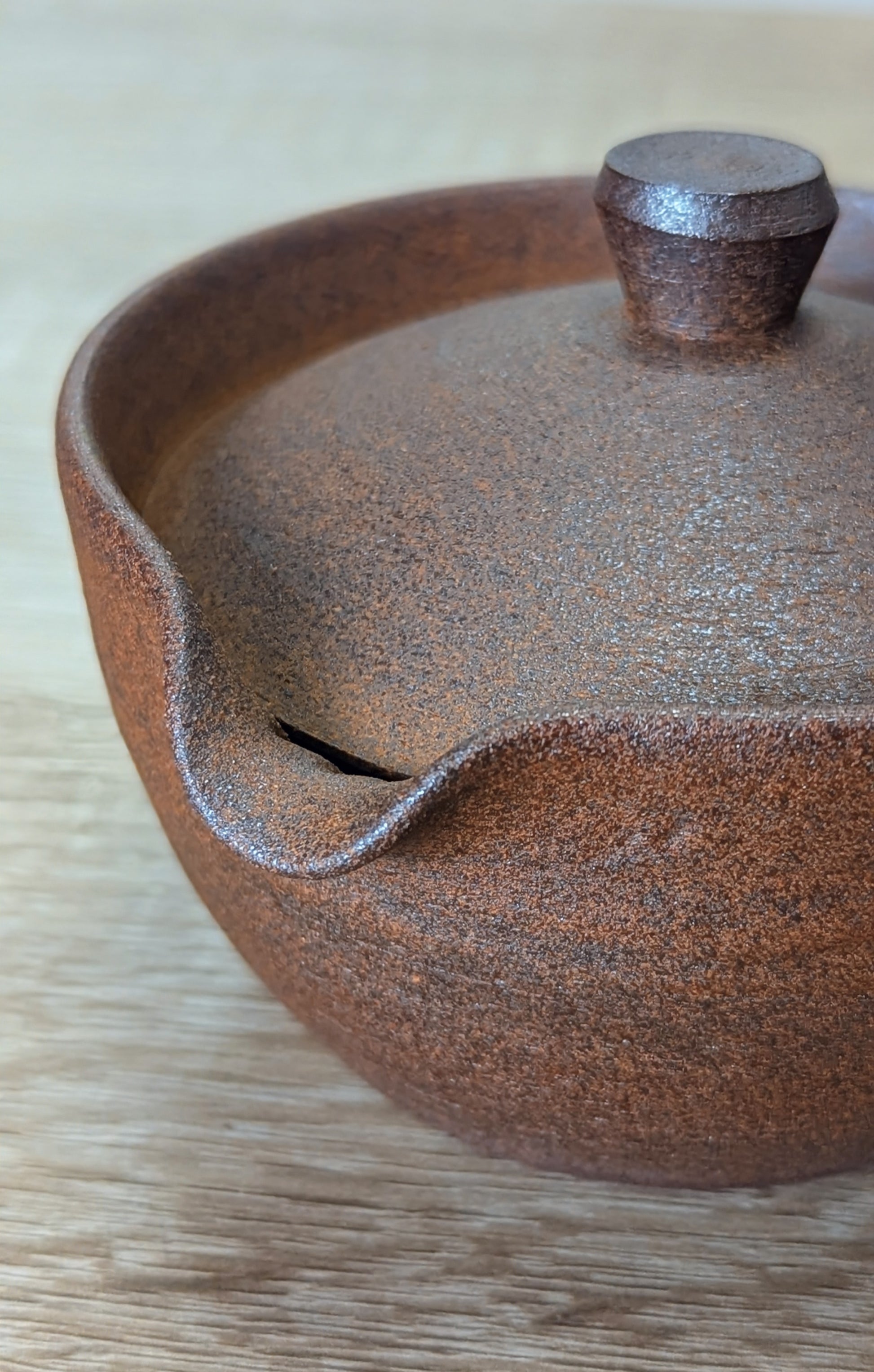 Tokoname Shiboridashi 1 - Tea Topia