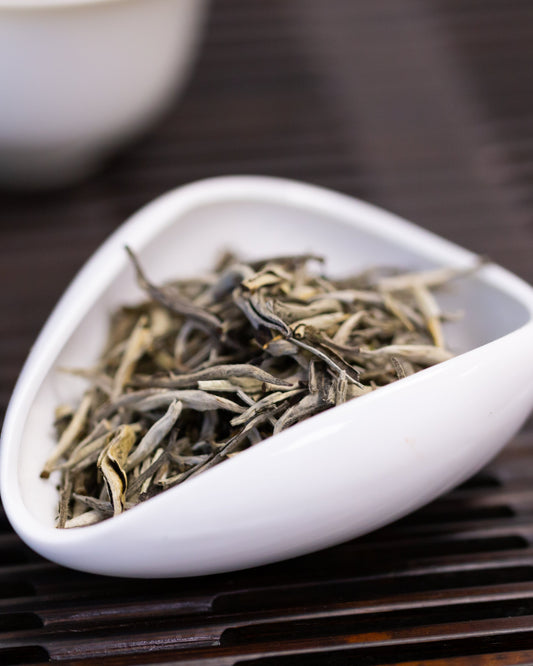 Wild Shan Tuyet Silver Needle White Tea