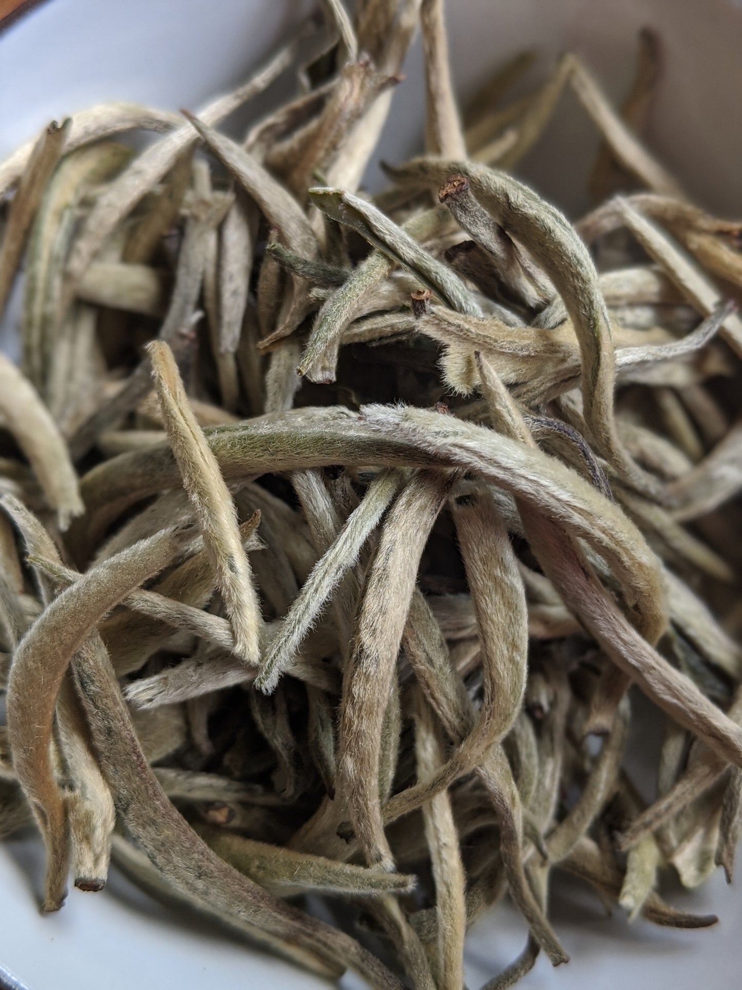 White tea Silver Needle | Бял чай 